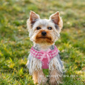 Arnés de perro suave chaleco de lujo lindos arneses de perros